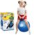 Gigtech Sit And Bounce Rubber Hop Ball Jumping&Bouncing Ball Toys 1 Storio Sit And Bounce Rubber Hop Ball Jumping&Bouncing Ball For Boys Girls Toys|Indoor&Outdoor|Best Gift Balls For Kids -Big(Size 56Cm / 22 Inch,Multicolour)